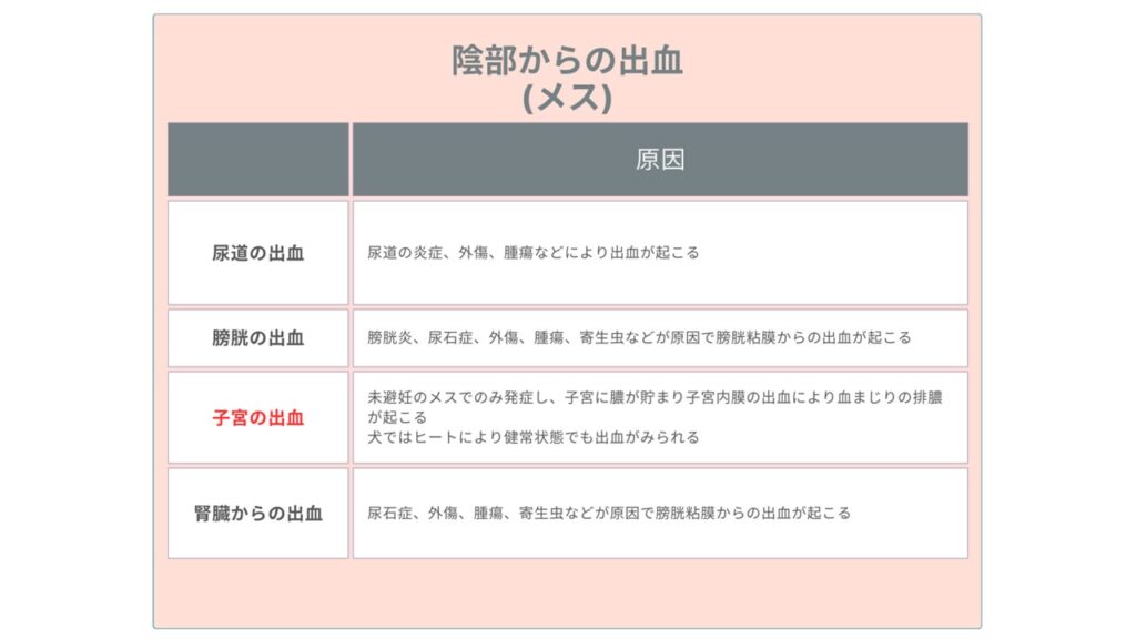 陰部からの出血（メス）